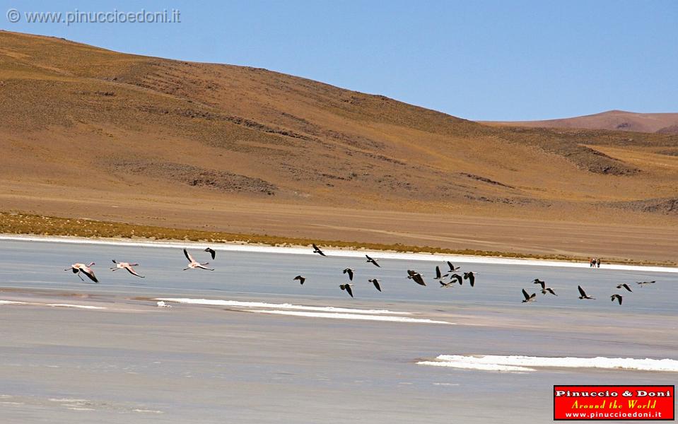 BOLIVIA 2 - Ruta de Las Joyas - Laguna Kanapa - 29.jpg